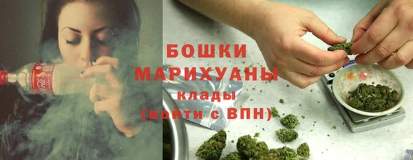 сатива Липки