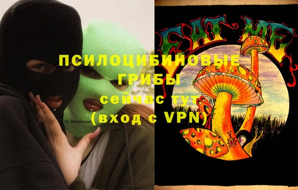 ГАЛЛЮЦИНОГЕННЫЕ ГРИБЫ Лихославль