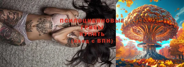 сатива Липки