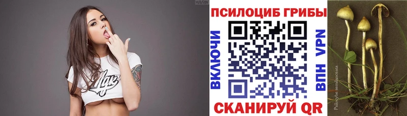 darknet Telegram  Крым  Галлюциногенные грибы Psilocybe  где найти  